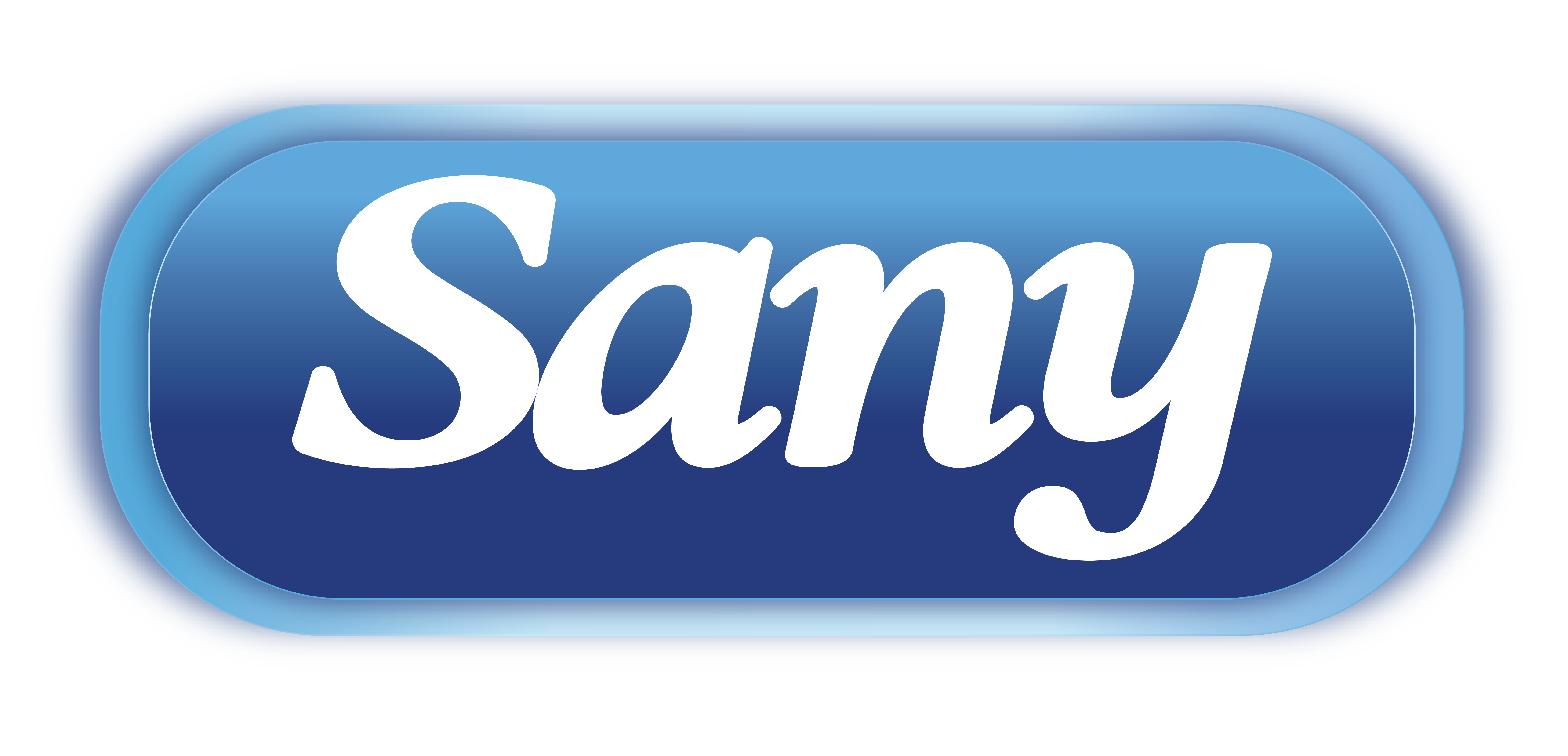 Sany